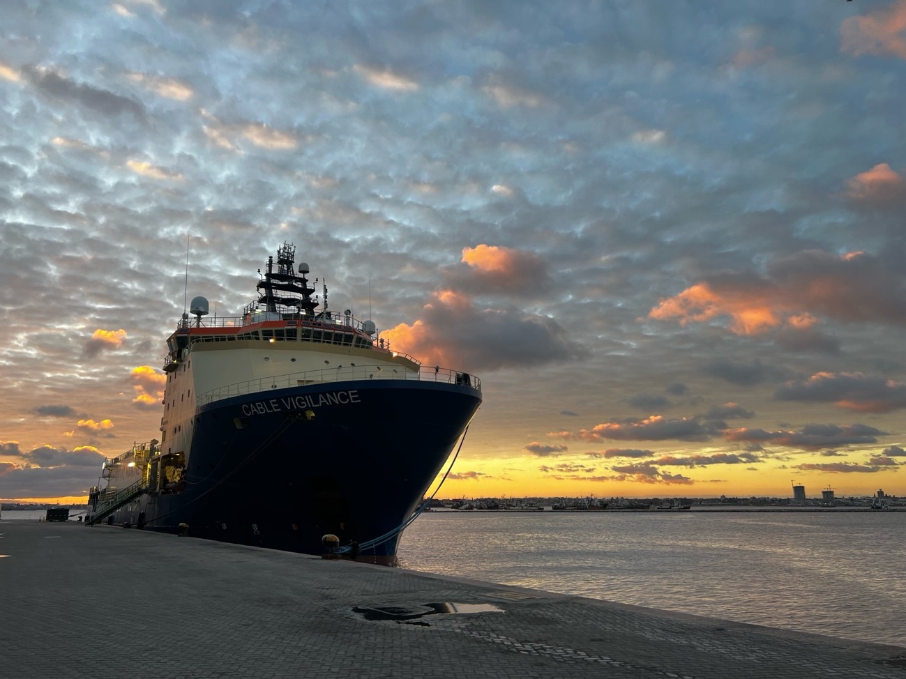 Imagem do projeto TANNAT