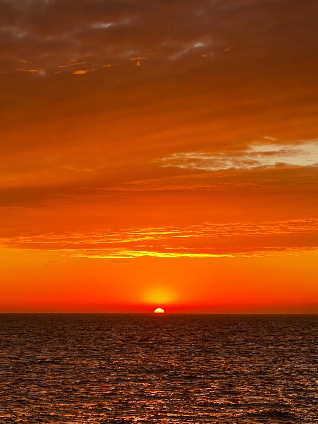 Imagem do projeto TANNAT